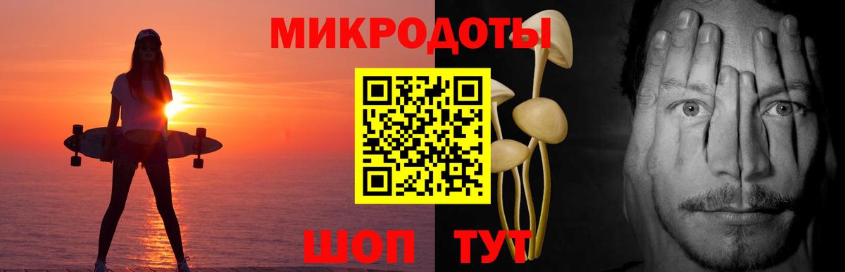 Псилоцибиновые грибы Psilocybine cubensis Азов